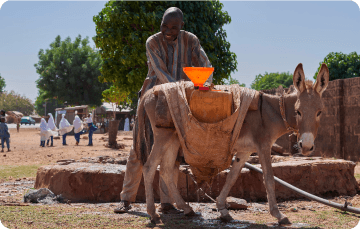 man with donkey