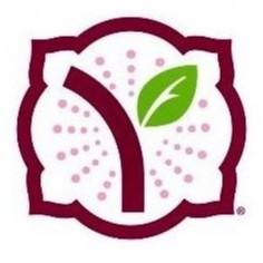 Yogurtland Glendale profile picture