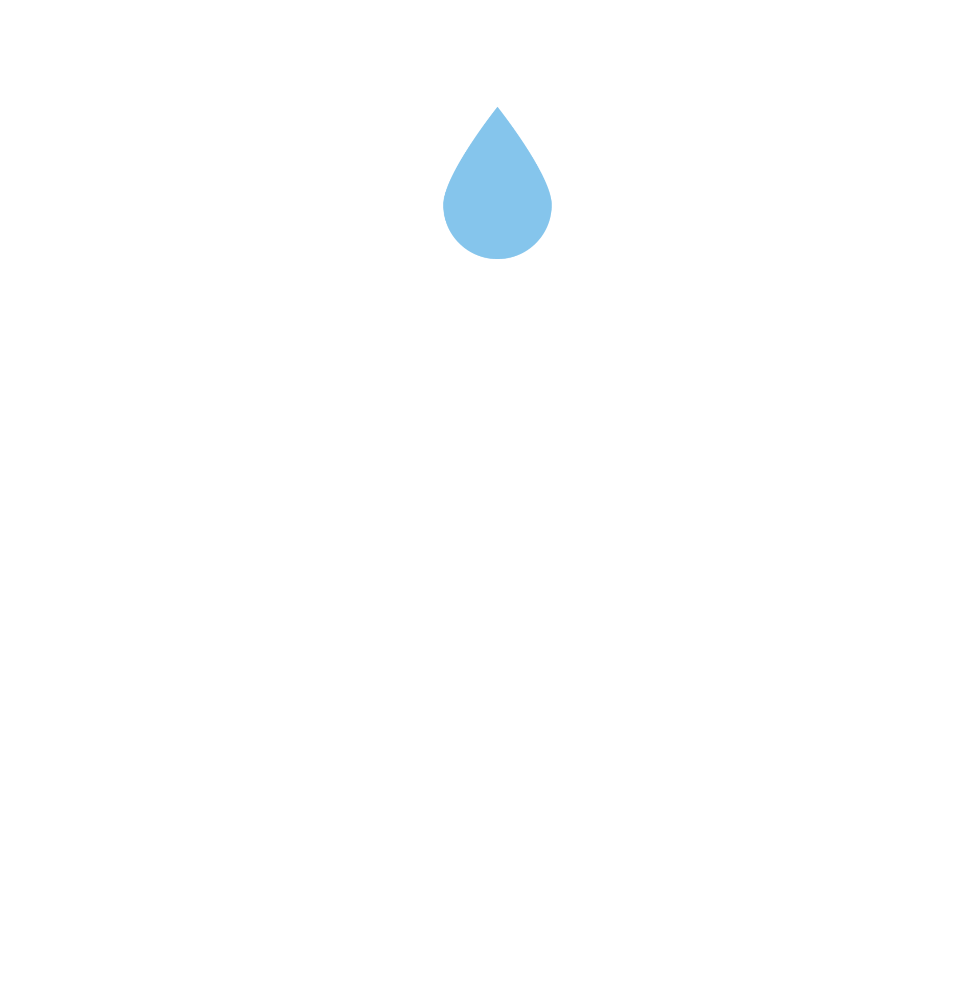 Mission 2030